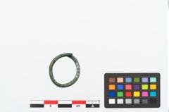 Foto von Bronzering (NHMW-PRAE-025238)